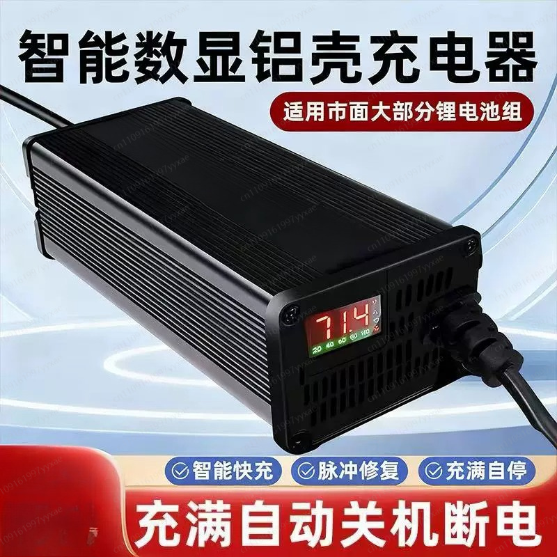 72V 15A Fast Charger - Caricabatterie Intelligente LiFePO4 Li-ion 48V 60V