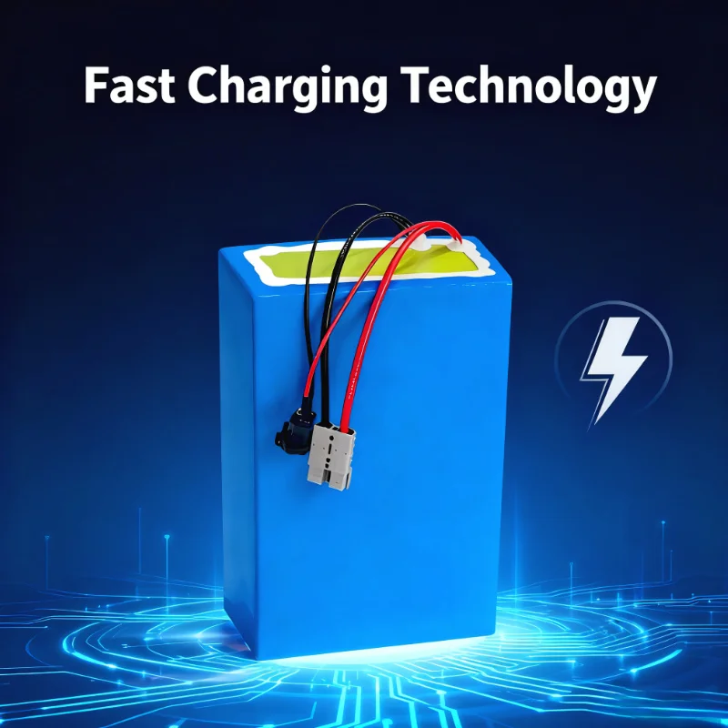 Batteria agli ioni di litio BM - 72V 40Ah Lifepo4 Battery Pack recensione e prezzo